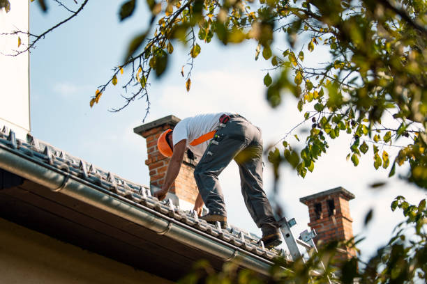 Best Roof Waterproofing Services  in Robertsville, NJ