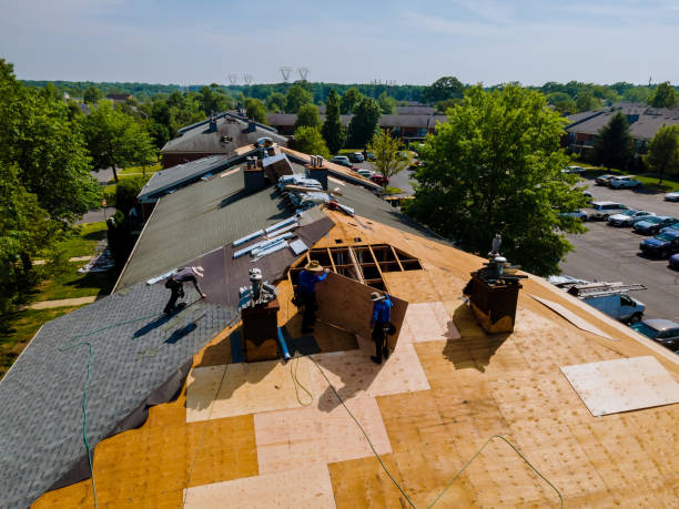 Best Storm Damage Roof Repair  in Robertsville, NJ